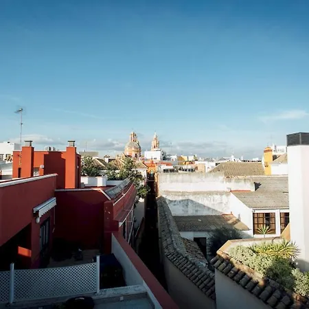Apartment 2 Bedrooms 1 Bathroom Furnished - Santa Cruz - Alfalfa - Duplex - Mintystay